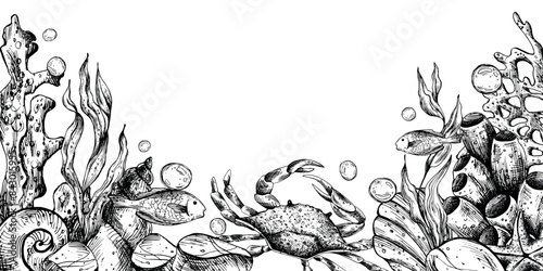 Underwater world clipart with sea animals whale, turtle, octopus, seahorse, starfish, shells, coral and algae. Graphic illustration hand drawn in black ink. Border, template, frame EPS vector.