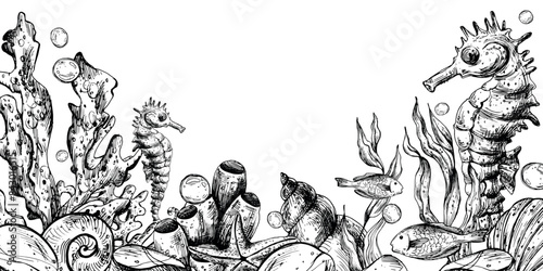Underwater world clipart with sea animals whale, turtle, octopus, seahorse, starfish, shells, coral and algae. Graphic illustration hand drawn in black ink. Border, template, frame EPS vector.