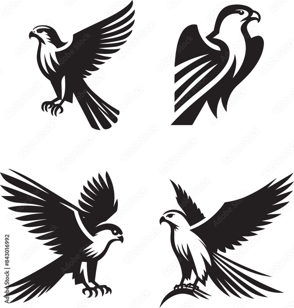 Obraz premium falcon bird silhouette vector