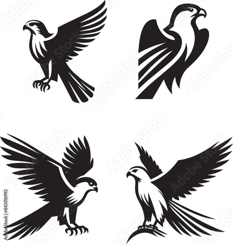 falcon bird silhouette vector