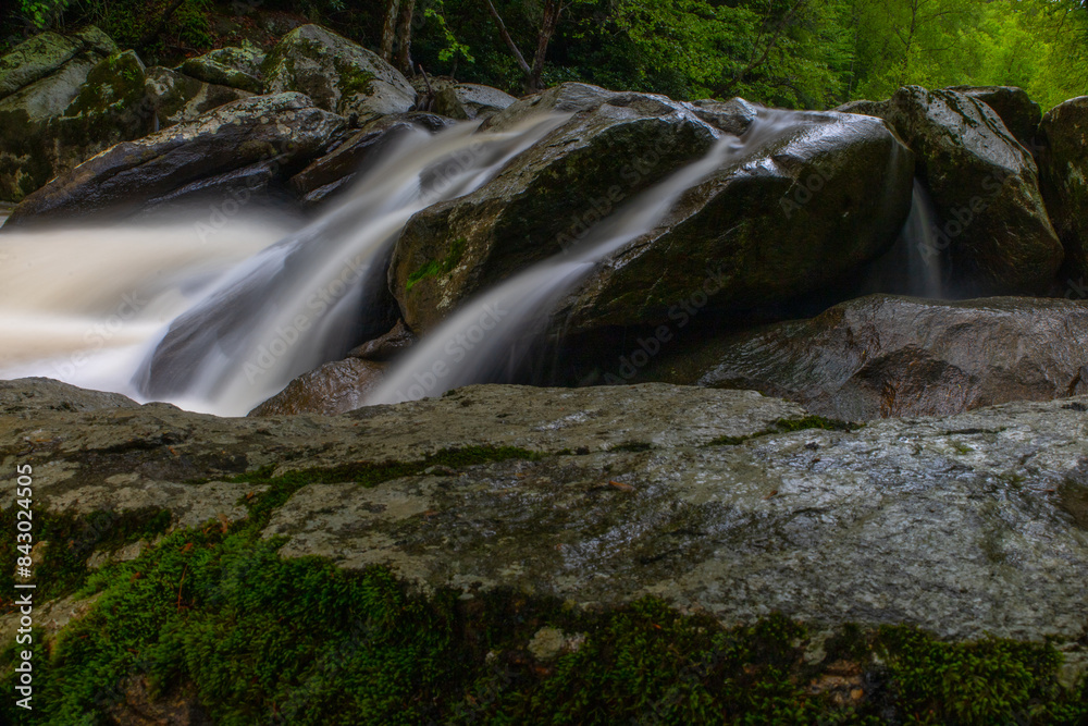 Fototapeta premium Cascading creek in the Appalachian mountains