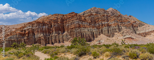 Wildlife in Red Rock State Park  - California Desert