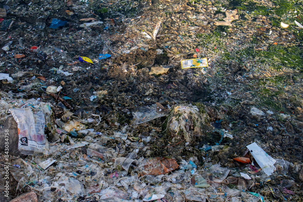 A pool covered in algae, surrounded by scattered litter, showcasing the true face of nature and human impact A pool covered in algae, surrounded by scattered litter, showcasing the true face of nature and human impact
