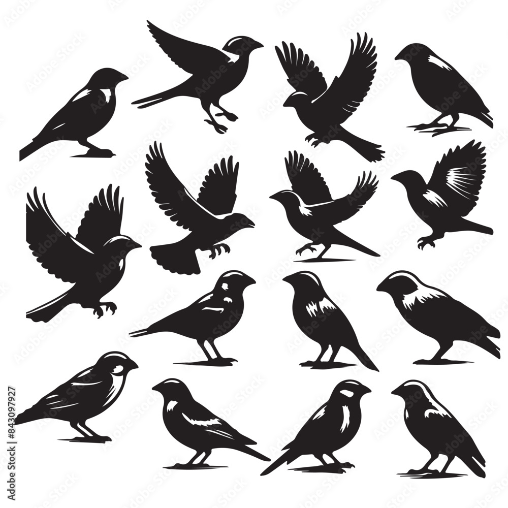bird bundle silhouette bird bundle silhouette