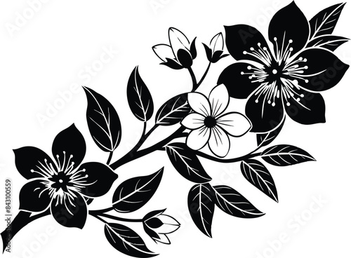 black and white flower