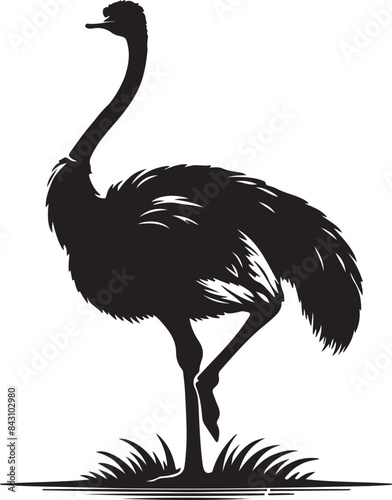 Ostrich silhouette vector illustration Design photo