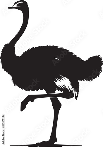 Ostrich silhouette vector illustration Design
