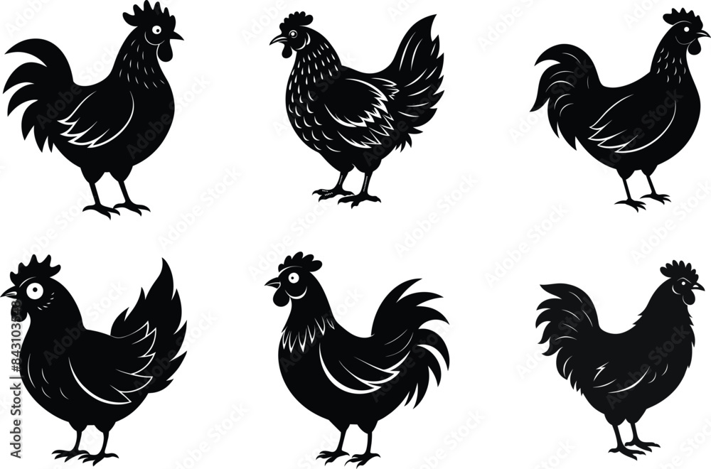 Fototapeta premium set of chicken