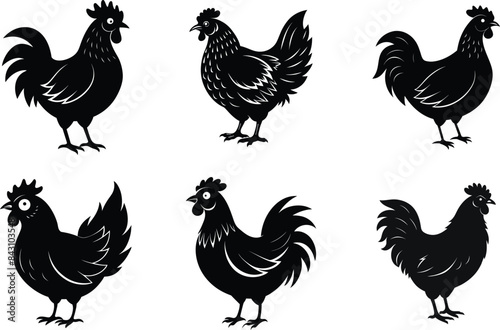 set of chicken