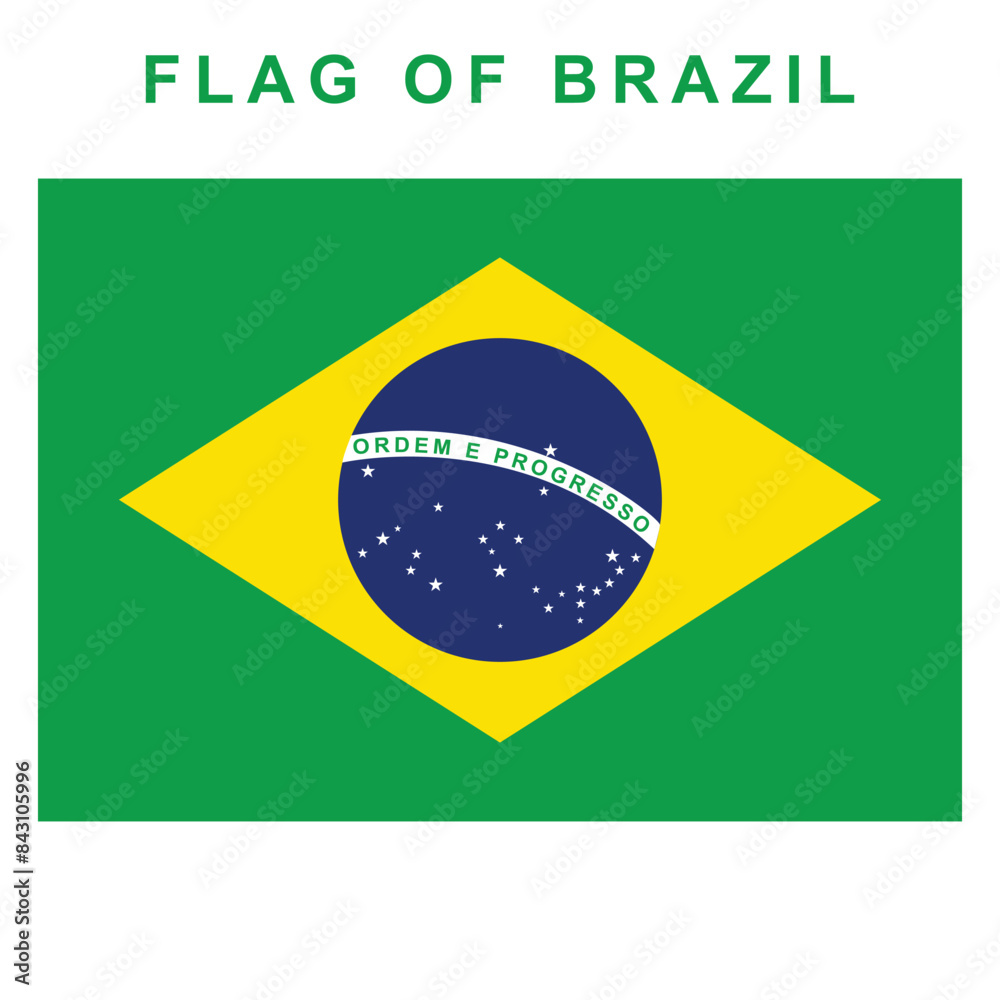 Obraz premium FLAG OF BRAZIL, vector illustration isolated on a white background, with typography in English. banner, poster, background.