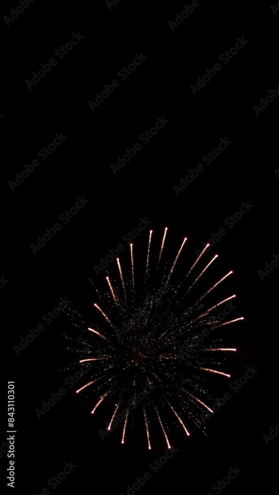 Awesome Real Huge Firework on Deep Black Background Sky on Fireworks festival. Colorful fireworks on 4th of July, Independence day in USA. High quality 4K slow motion, vertical video for your stories Awesome Real Huge Firework on Deep Black Background Sky on Fireworks festival. Colorful fireworks on 4th of July, Independence day in USA. High quality 4K slow motion, vertical video for your stories