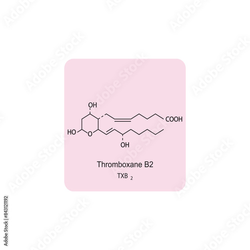 Thromboxane B2 skeletal structure diagram.Prostanoid compound molecule scientific illustration on pink background.