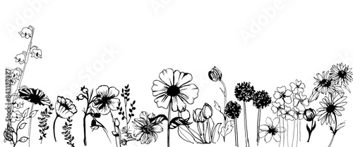 Giardino di fiori misti, illustrazione in bianco e nero isolata