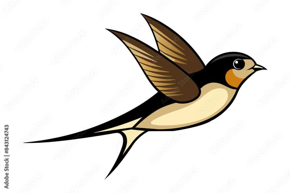 Obraz premium Barn Swallow different style vector illustration line art