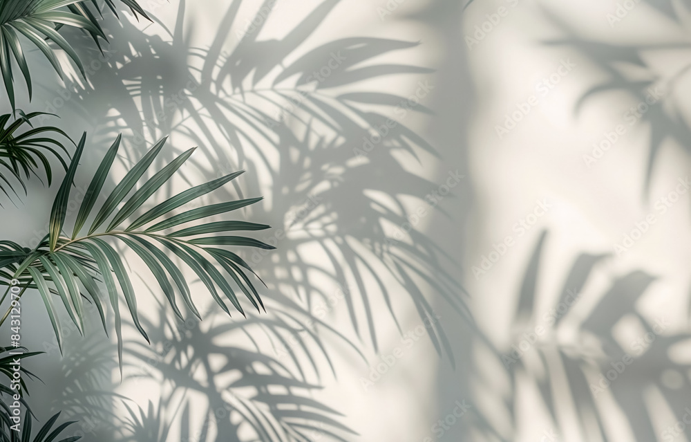 Minimalist background with tropical plant leaves and its shadow on white wall. Tropical backdrop for product presentation. Minimalist background with tropical plant leaves and its shadow on white wall. Tropical backdrop for product presentation.