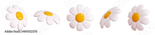 Daisy plastic flower flying in different angles of view cartoon icon 3d render illustration. Cute chamomile bubble bloom with white petals for spring and summer design. Abstract glossy balloon blossom