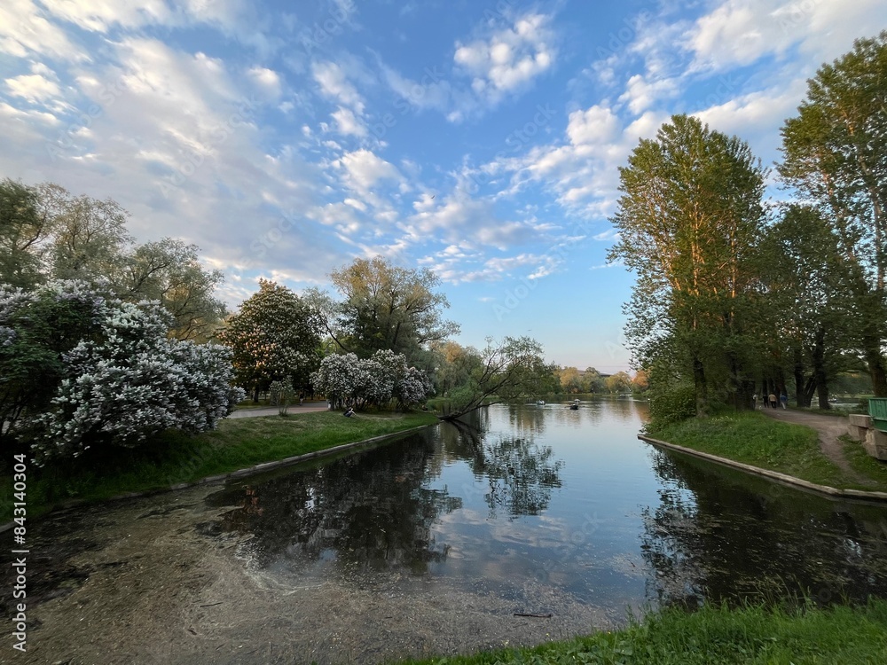 beautiful pond in the park, summer pond in the park beautiful pond in the park, summer pond in the park