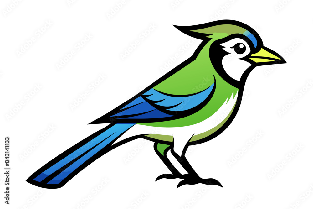 Obraz premium Blue Jay different style vector illustration line art