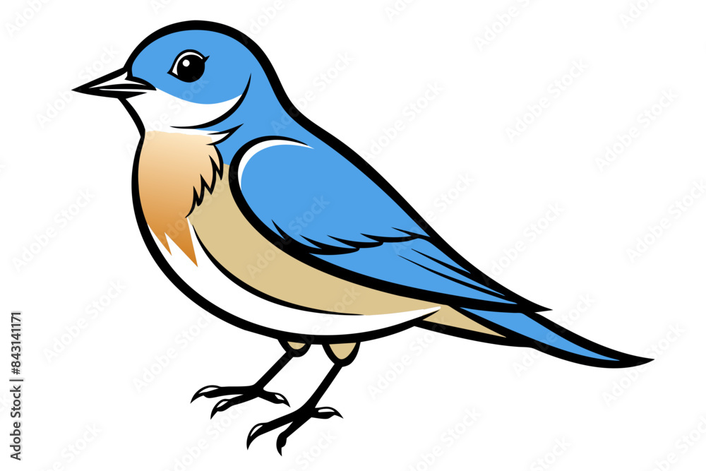 Obraz premium Eastern Bluebird different style vector illustration line art 