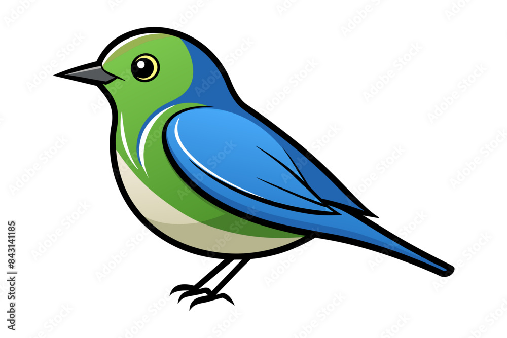 Obraz premium Eastern Bluebird different style vector illustration line art 