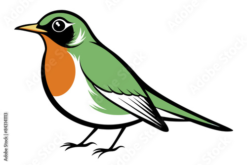 American Robin different style vector illustration line art