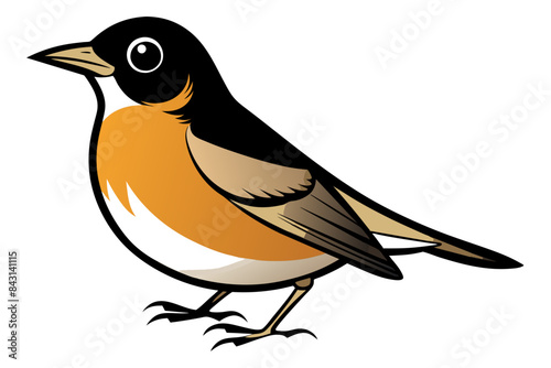 American Robin different style vector illustration line art