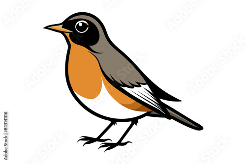 American Robin different style vector illustration line art