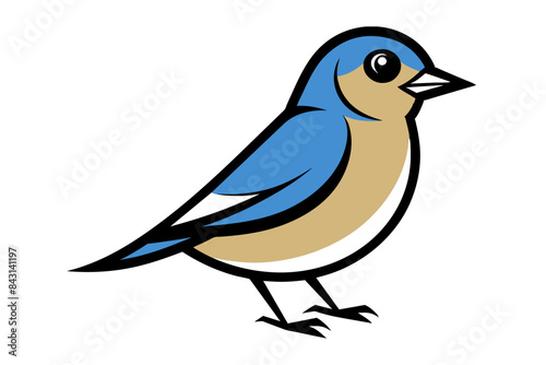 Eastern Bluebird different style vector illustration line art 