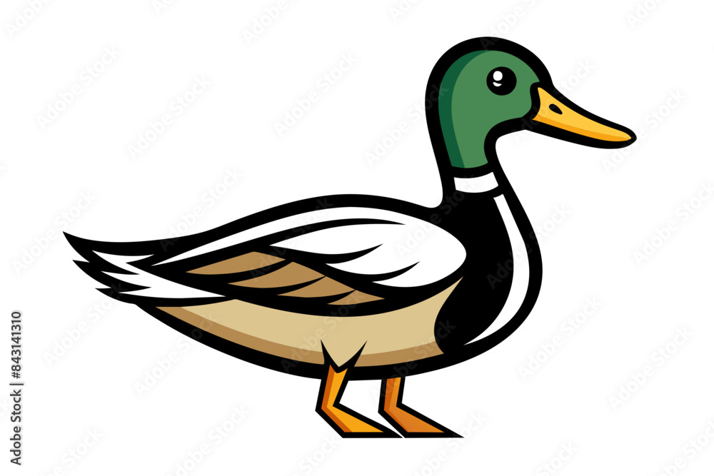 Mallard Duck different style vector illustration line art Mallard Duck different style vector illustration line art
