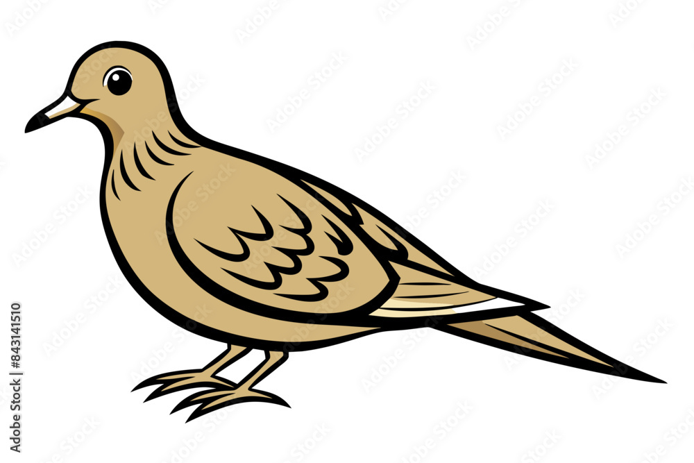 Fototapeta premium Mourning Dove different style vector illustration line art