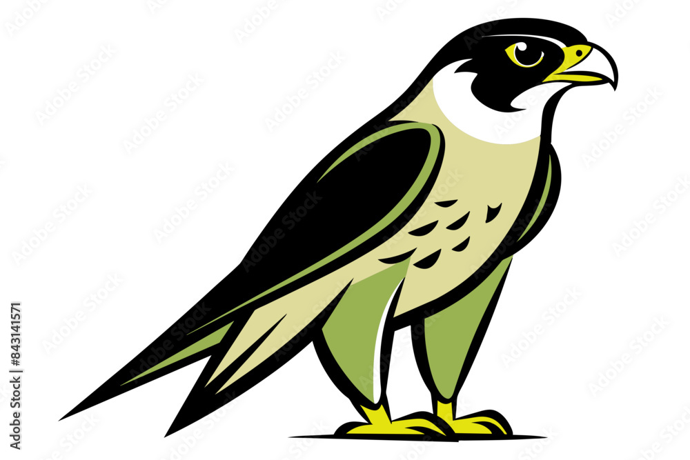 Fototapeta premium Red-tailed Hawk different style vector illustration line art