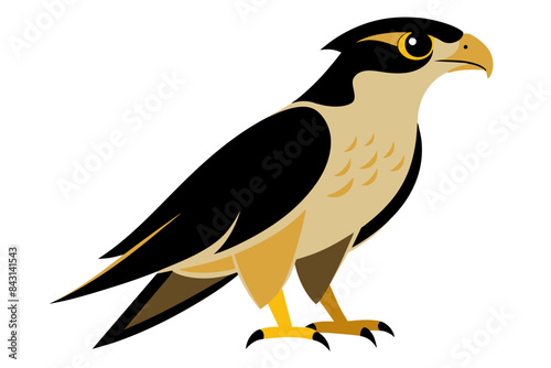 Red-tailed Hawk different style vector illustration line art