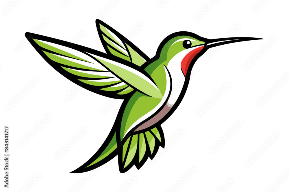 Ruby-throated Hummingbird different style vector illustration line art Ruby-throated Hummingbird different style vector illustration line art