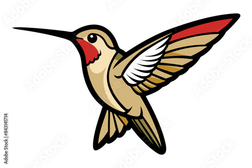 Ruby-throated Hummingbird different style vector illustration line art 