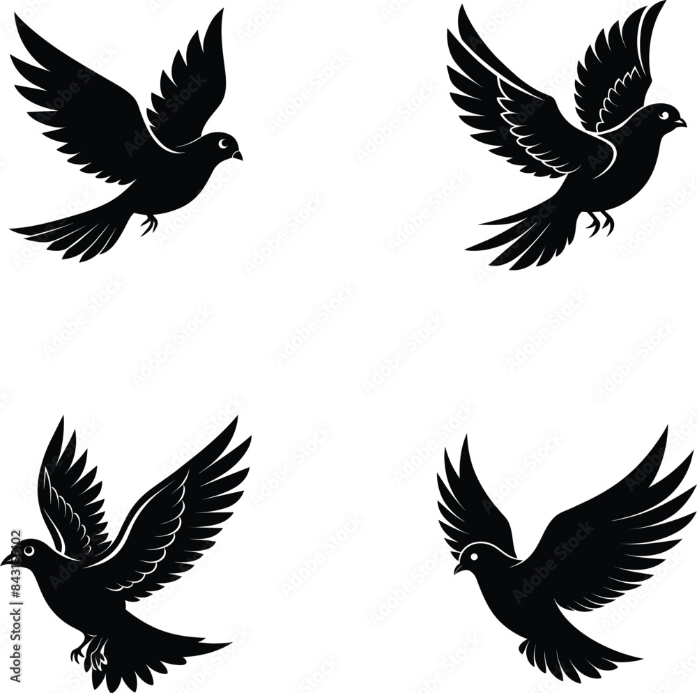 Fototapeta premium set of silhouettes of birds