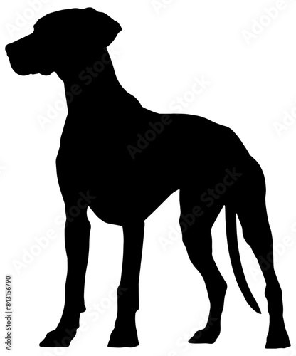 Silhouette of a Dalmatian dog in black, isolated 