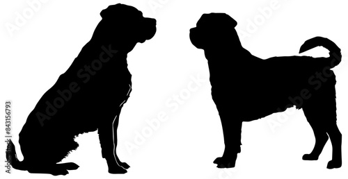 Silhouettes of Rottweiler Dogs, isolated 