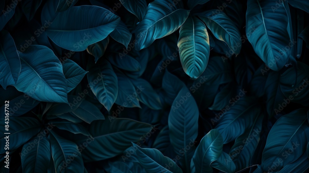 Close-up view of lush tropical leaves creating a vibrant and exotic natural background Close-up view of lush tropical leaves creating a vibrant and exotic natural background