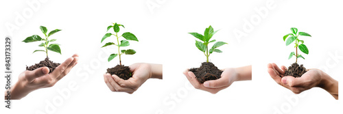 Set of hand holding a young plant isolated on a transparent background
