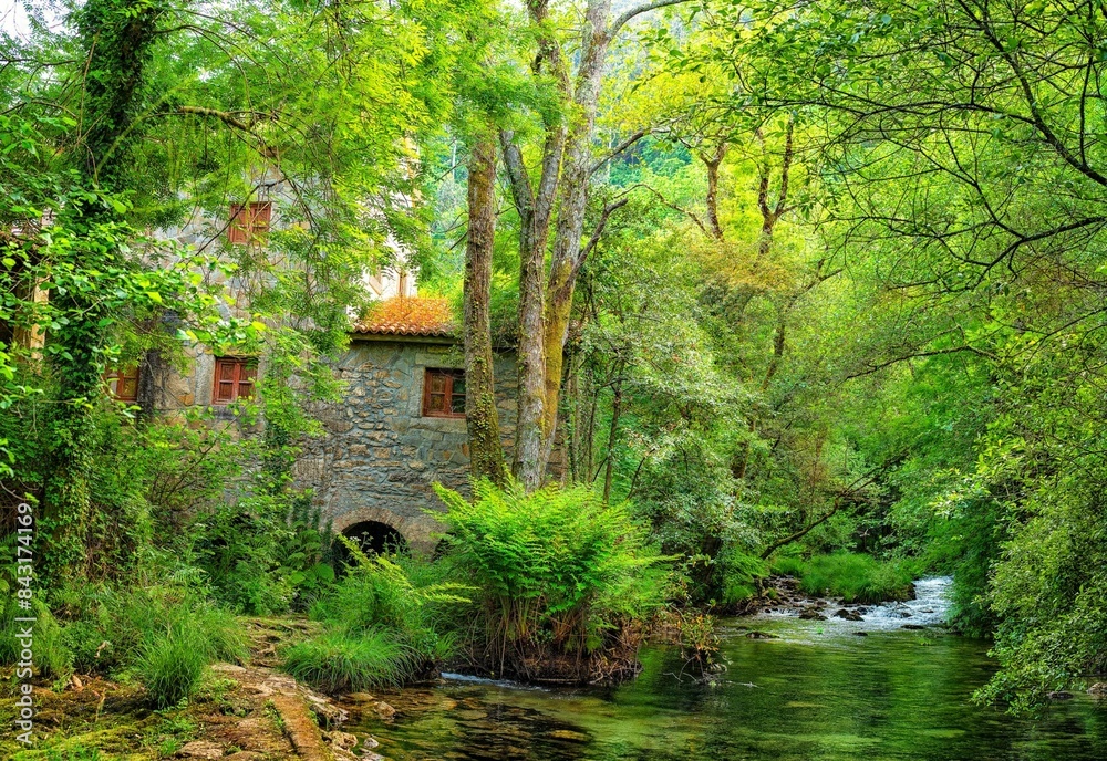 Molino en un riachuelo de Galicia Molino en un riachuelo de Galicia
