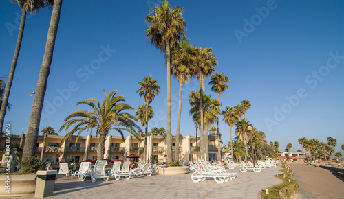 Obraz na plátně Palm trees on main avenue in Estero Beach Ensenada Baja California Mexico