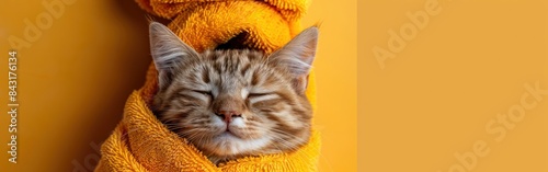 Relaxing Cat with Turban and Bathrobe for Wellness and Beauty Banner, Isolated on Orange Background