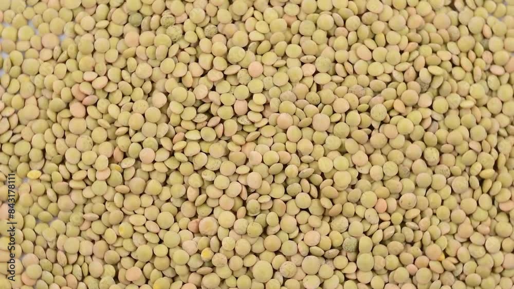 pile of raw Italian lentils,legume macro close-up,rotating video pile of raw Italian lentils,legume macro close-up,rotating video