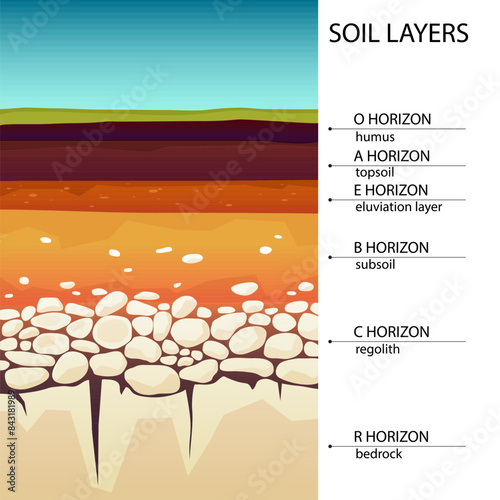 Soil layers diagram in cartoon style photo