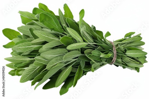 A fresh bunch of sage with soft, graygreen leaves and a slightly peppery flavor, arranged in a neat bundle Isolated on a solid white background photo