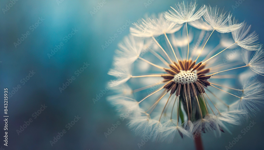 Naklejka premium dandelion on blue backdrop, symbolizing freedom and wishes