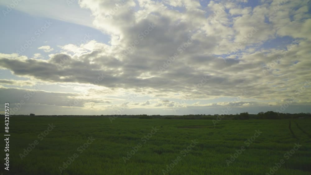 Sun clouds and wheat field, time-lapse Sun clouds and wheat field, time-lapse