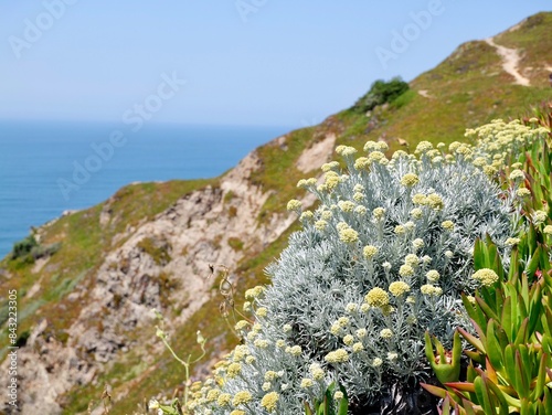 View of the coast from Cape Roca (Cabo da Roca), the westernmost point of the Sintra Mountain Range, of mainland Portugal, of continental Europe and of the Eurasian landmass photo