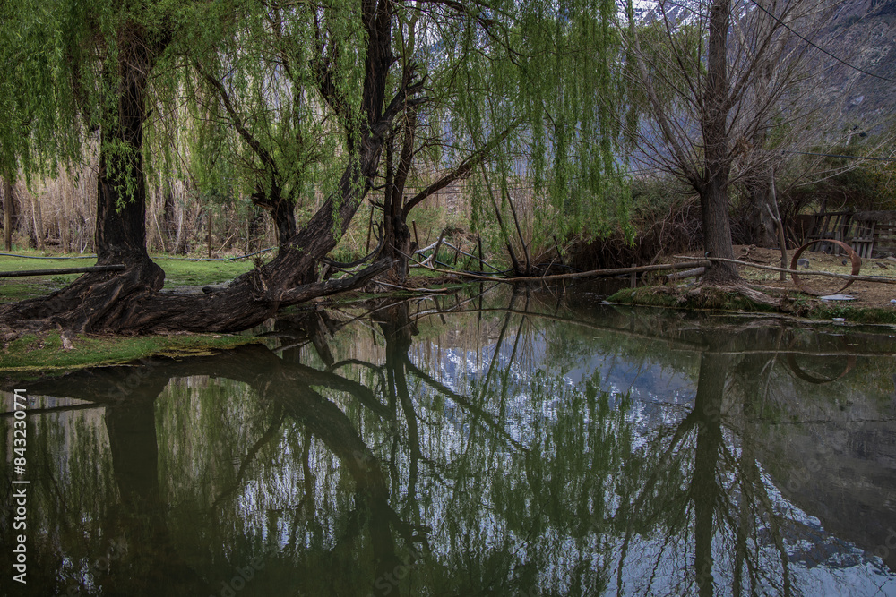green landscape with mirror in the lake in Chile.