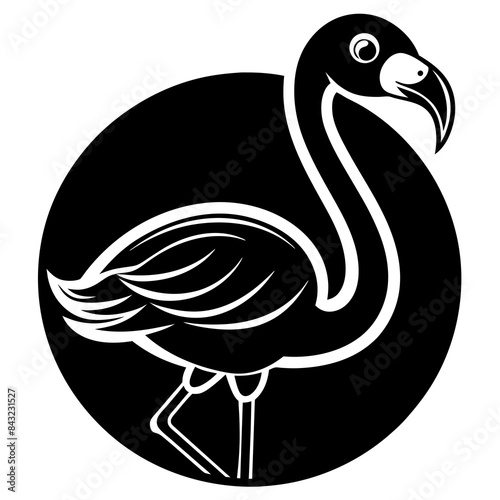 silhouette of a bird